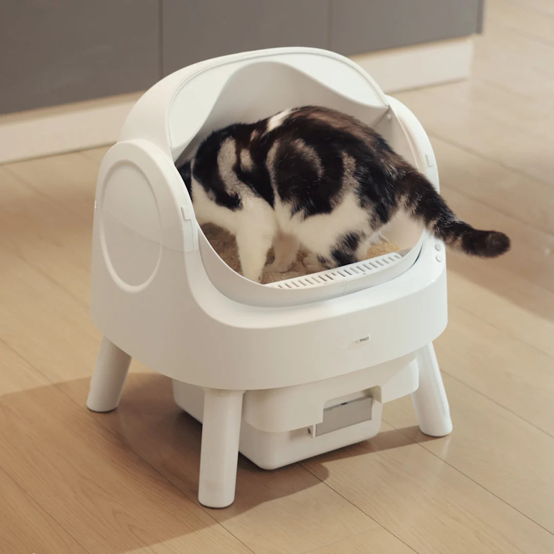 Autoscooper 11 Open-top Self-cleaning Smart Cat Litter Box-Pet by Pivot