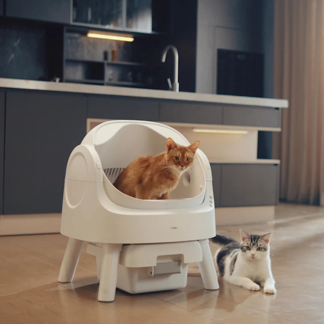 Autoscooper 11 Open-top Self-cleaning Smart Cat Litter Box-Pet by Pivot