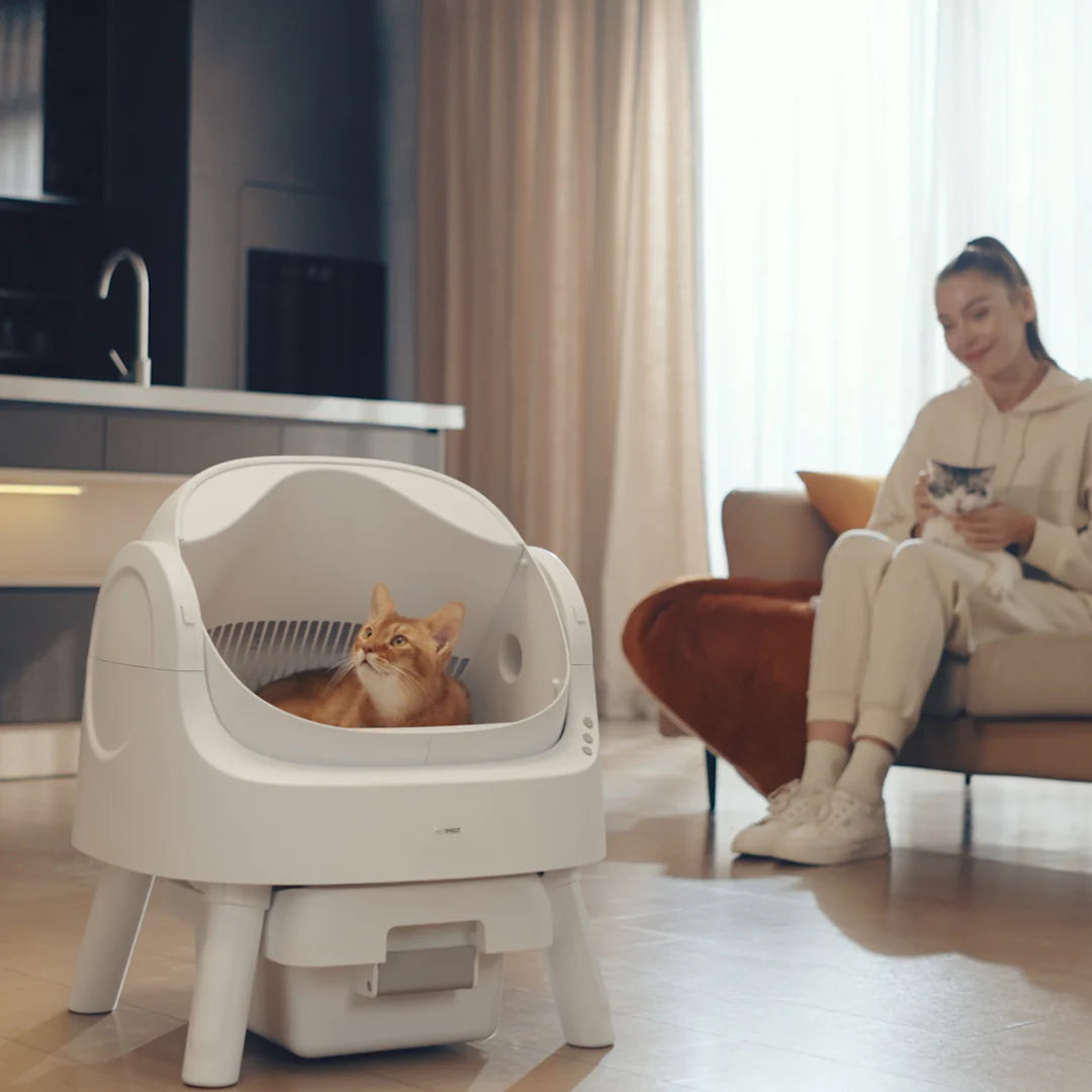 Autoscooper 11 Open-top Self-cleaning Smart Cat Litter Box-Pet by Pivot